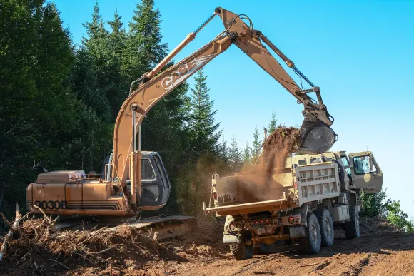גרטורמה קזינו תמיכה